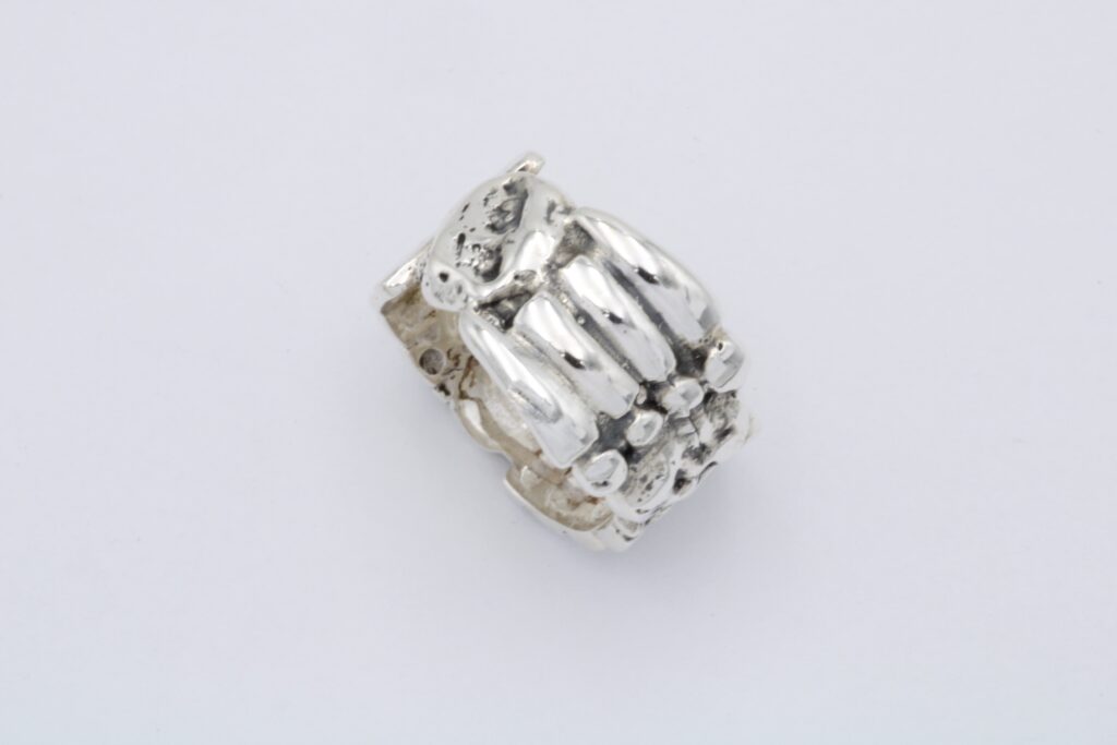 “Xerolithia” Ring, silver